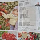 우체국 쇼핑 카탈로그 읽기 - 국산 고추장을 중심으로