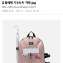 유럽여행시 기부천사 가방 이미지