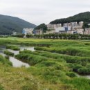 윌 무인텔 이미지