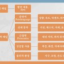 사이커뮤니케이션 이미지