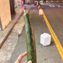 천일마트