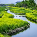 애니카랜드성서공단점 이미지