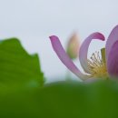 은연