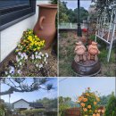 세라의 작은정원 이미지