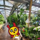 양재주차장 이미지