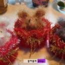 복주머니 이미지