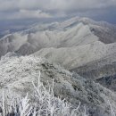 제66차 영화처럼정기여행 함양 남덕유산(1,507m) 이미지