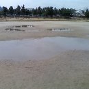 장생포야구장(평일) 이미지