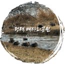 죽백근린공원 | 평택 가볼만한곳 배다리 공원, 배다리 저수지 겨울 산책