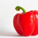 피망 이미지