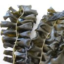 청정해역 이미지