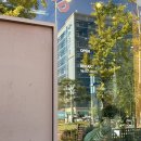 남악-1 | [남악맛집] 남악 카레 덮밥 1등 맛집 소코아 후기 점심메뉴추천