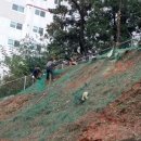 수목산업 이미지