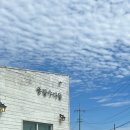 종달 홀라인 이미지