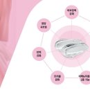 태스
