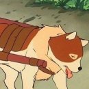 파트라슈 이미지