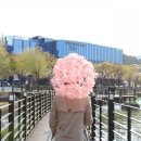 치즈유 이미지