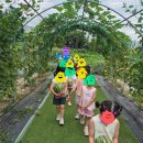 아이씨알 | 고양시 원흥동 씨알유치원 후기｜7살, 단 1년이었지만 보내길 정말 잘했어요