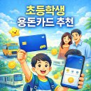 퍼핀 | 초등학생 용돈카드 추천 : 아이쿠카 사용후기 + 토스유스/카뱅mini/퍼핀/아이부자 비교