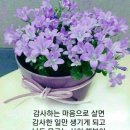 백년친구 - 구미시 | 백년친구