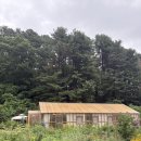 와일드그린 | 파티룸 대여 /감성 장소대여 ‘와일드 그린’ 내돈내산 이용후기 (바베큐가능,단체모임 가능)/여름방문...