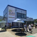 주주카페 | 하이주주 | 대구 실내 동물카페 두돌 아이와 다녀온 솔직 후기. (근교, 가볼만한 곳, 여름)