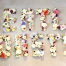 엘리트안경 이미지