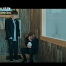 펫바라기 이미지