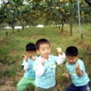 둔포농장 이미지