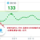 호통빵