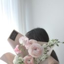 블랑-메이 이미지