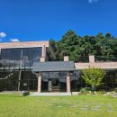 트리인(TREEIN) 이미지