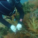 다이브투게더리조트 이미지