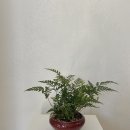 꽃길플랜테리어