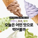 폴 바셋 강남삼성타운점