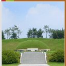 홍주의사총 이미지