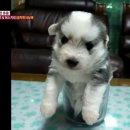 유순농장 이미지