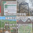 좌구산캠핑장 | 2025년 증평 좌구산휴양림(병영하우스) 체류형관광 환급제도와 즐길거리, 맛집까지 총정리