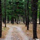 감천중앙 이미지