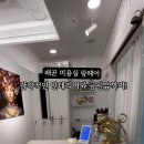랑헤어 - 시흥시 서울대학로278번길 8 | 랑헤어