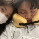 다온.댕 이미지