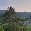 소백산산마루식당 이미지