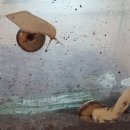 동양목욕탕 이미지