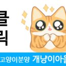 개냥이아울렛 이미지
