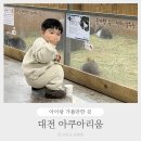 토끼사 | 대전 아쿠아리움 아기랑 실내 동물체험 악어쇼 인어공연 시간