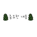 베스트 캣 이미지