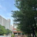 서대문도서관 | 서대문구립이진아기념도서관 방문 후기 도서 대여