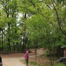 보덕사길 이미지