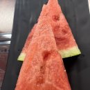 김사부 회초밥 이미지