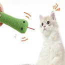 고양이 쇼핑하우